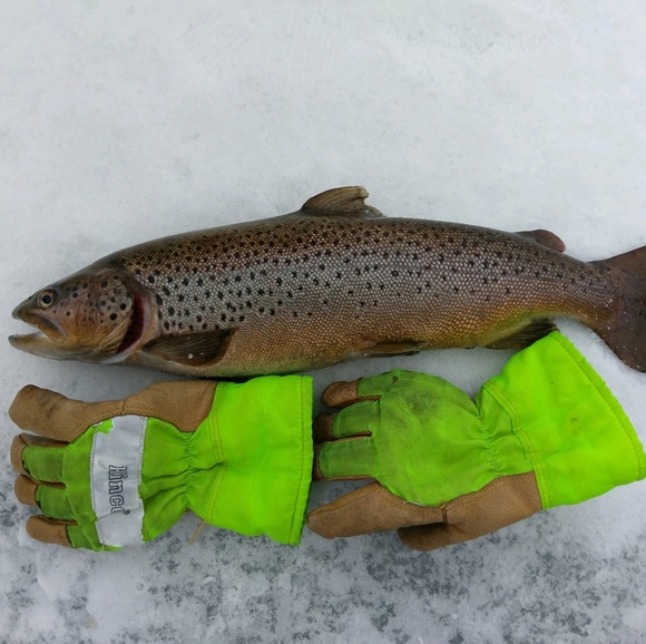 Meet your Posher, Corry - Picture 1 of 1